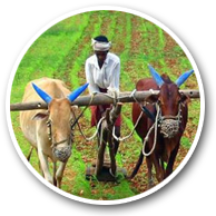 Farmers